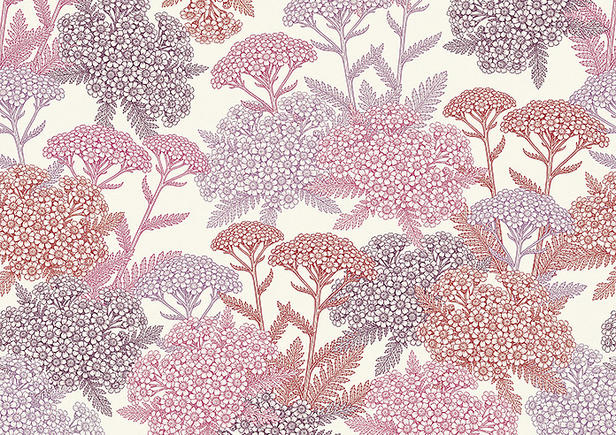 Yarrow, Cosmos - Made to Measure Curtains - Image 8